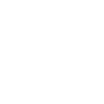 TIKTOK (1)